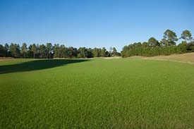 Winding River Plantation, Winding River Real Estate